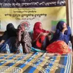 WhatsApp Image 2025-12-18 a 17.24.36_8e376a9f